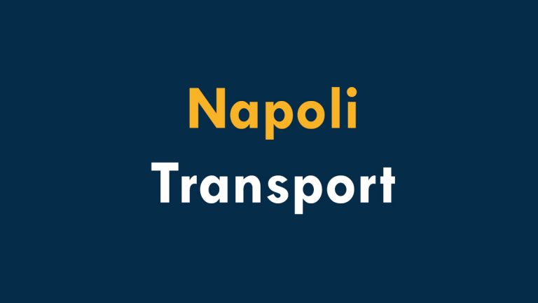 Transport Moldova – Napoli